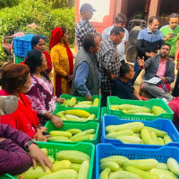 भारतीय बस र ट्रक ठोक्किँदा तीन घाइते