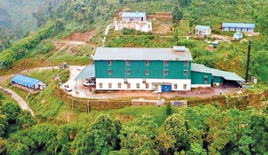 तारागाउँ चियाको  सफल यात्रा