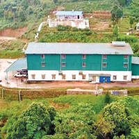 संरक्षण हुन छाड्यो रैथाने बाली
