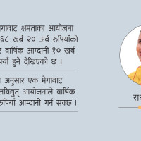 सहमति पालना नहुँदा सडकमा आयौँ : वडाअध्यक्ष महर्जन