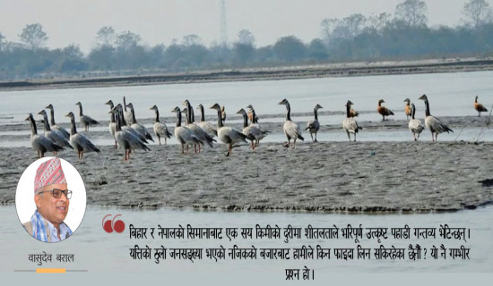 कोशी पर्यटन वर्ष र रणनीति
