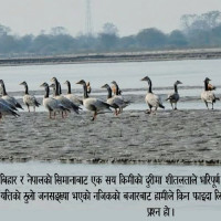 ब्रिक्स सम्मेलनको सन्देश