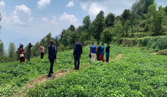 नवौँ राष्ट्रिय खेलकुद : कार्यकारी समितिको सचिवालय स्थापना