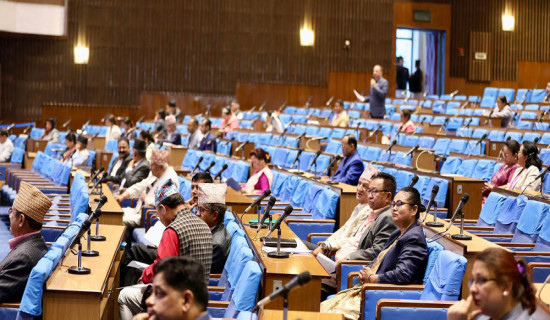 ‘भूमिसम्बन्धी केही नेपाल ऐनलाई संशोधन गर्ने विधेयक’ प्रस्तुत