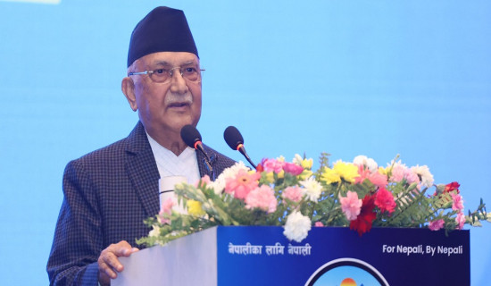 गैह्र आवासीय नेपाली सङ्घलाई एकताबद्ध र मर्यादित बनाउन प्रधानमन्त्रीको आग्रह