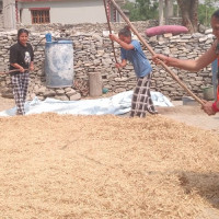 दार्चुलाको दुहुँ ५ मा कांग्रेसका उम्मेदवार विजयी
