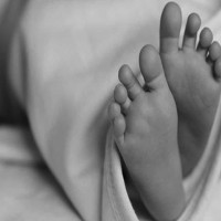 सुशासनका निम्ति सबैले आवाज उठाउनुपर्छ : सरस्वती बजिमय