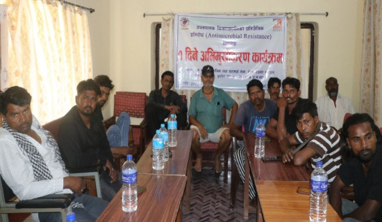 झोलुङ्गे पुलको पर्खाल भत्किँदा पाँच मजदुरको मृत्यु
