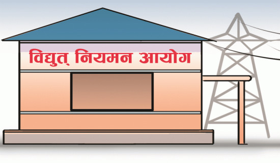 विद्युत् नियमन आयोगसँग अपेक्षा