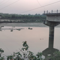 चितुवाको आक्रमणबाट महिला घाइते