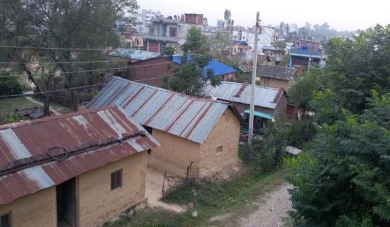 मुक्त कमैया अधिकारविहीन