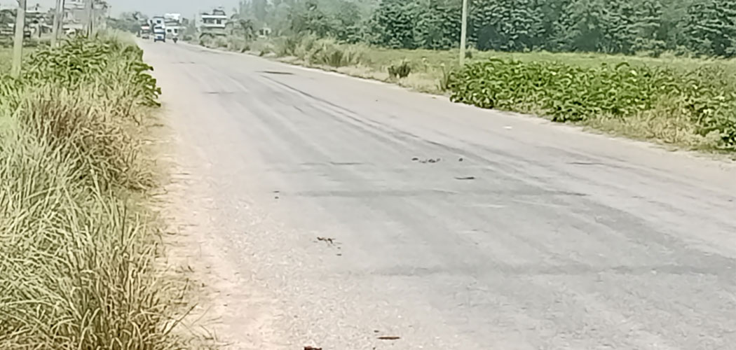 राजमार्ग जोड्ने सडक स्तरोन्नति