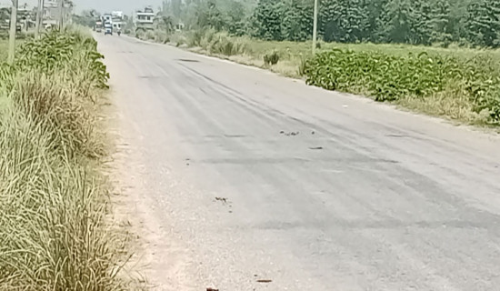 राजमार्ग जोड्ने सडक स्तरोन्नति