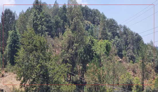 राजनीतिक दिग्गजबीच प्रतिस्पर्धा
