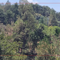 साँफे–मार्तडी सडक अवरुद्ध