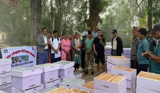 बाध्यात्मक प्रतिस्पर्धामा पृथ्वी र देव