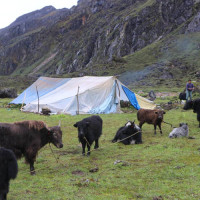 भत्किन लाग्यो ‘स्मार्ट रिफ्रेस सेन्टर’