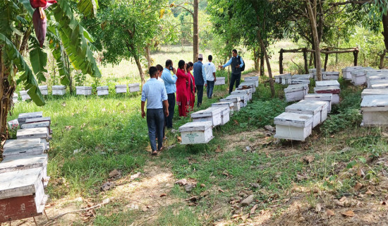 चालक-सहचालकको नियमित स्वास्थ्य परीक्षण