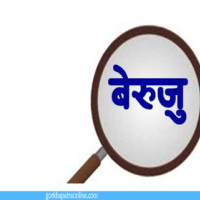 अध्यक्ष ढकाल गृहजिल्लामा सम्मानित