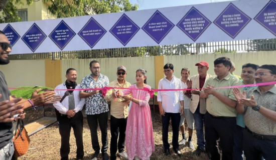 बाँदर आतङ्कले गाउँबासी विस्थापित