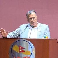 बाढीले बगाएर महिला बेपत्ता