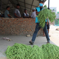 विद्यार्थीलाई कपाल काट्ने तालिम