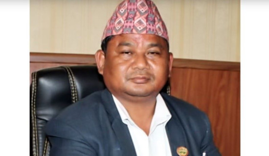 कांग्रेस सभापति देउवा र समाजवादीका अध्यक्ष नेपालबीच धुम्बाराहीमा छलफल