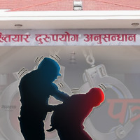 गोरखामा ५ प्रतिशत रोपाइँ सम्पन्न