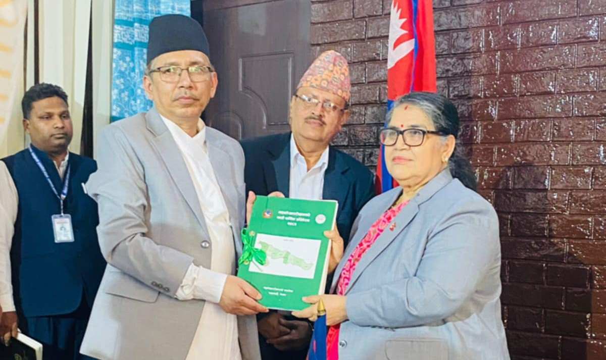 प्रदेश प्रमुखसमक्ष लेखापरीक्षणको वार्षिक प्रतिवेदन