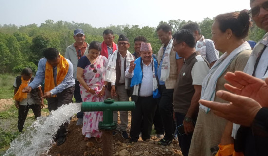 बोरिङ सिँचाइले बन्जर भूमि हरियाली