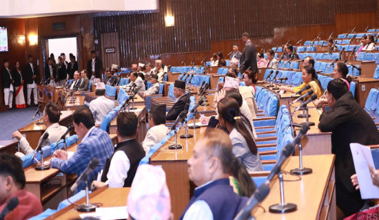 प्रतिनिधिसभा बैठक १५ मिनेटका लागि स्थगित
