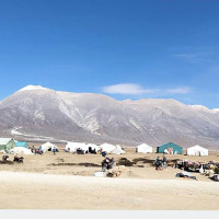 ओझेलमा पर्दै स्थानीय सीप