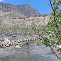 राष्ट्र निर्माणमा लाग्न कर्मचारीसँग आग्रह