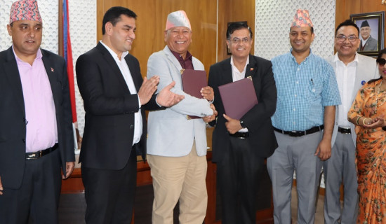 प्रभु बैंकका सिनियर डेपुटी सिइओ न्यौपानेसहित दश जना पक्राउ