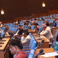 ट्राफिक जरिवाना बढी भएको भन्दै प्रदर्शन