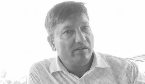 हावाहुरीका कारण रुख ढल्दा एक जनाको मृत्यु
