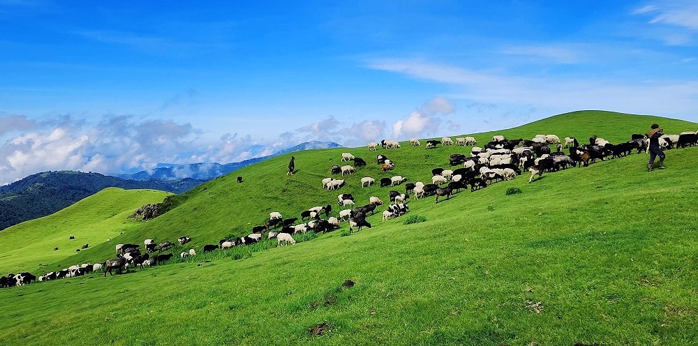 प्राकृतिक सौन्दर्यले भरीपूर्ण  साल्पा  (फोटो फिचर)