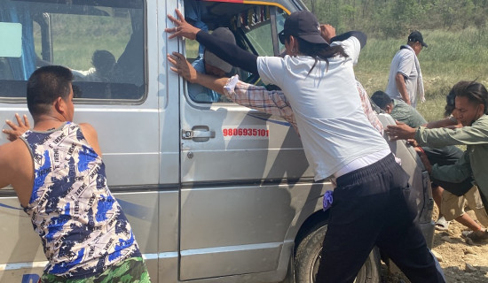 दाउन्नेको दलदल (फोटो फिचर)