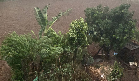 संयुक्त राष्ट्रसङ्घका प्रमुख गुटेर्रेसले गाजा भ्रमण गर्ने