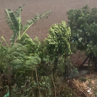 परराष्ट्रमन्त्री डा. राणा द्विपक्षीय भेटवार्तामा व्यस्त