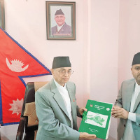 पनौती जलविद्युत् केन्द्रको उत्पादन बन्द