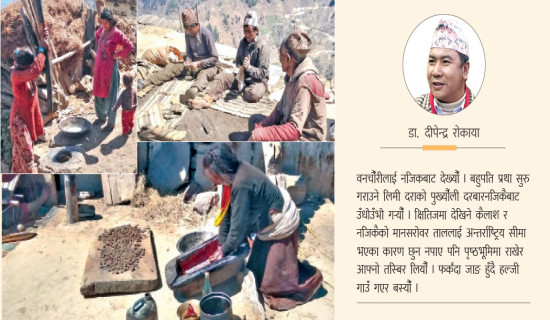 सिमानाका सीमान्तकृत आवाज खोज्दै