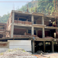 २५ बिघाभन्दा बढी जग्गामा व्यावसायिक फूलखेती