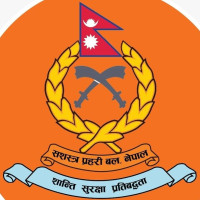 गुल्मीमा भुस्याहा कुकुरको आतङ्क, स्थानीय हैरान
