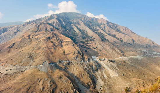 पूर्वमन्त्री न्यौपानेको निधन