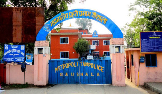 अमालकोटमा जुवा खेल्ने संस्कृति महाशाखा प्रमुखसहित सात पक्राउ