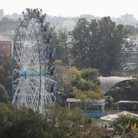 हात्तीमैत्री बन्यो बाहुनडाँगी
