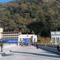 औषधी पसलमा भएन सुधार