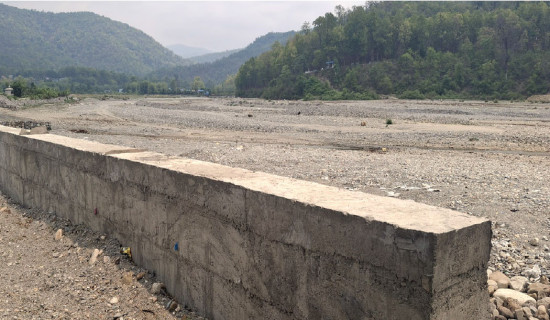बजार सुरक्षाका लागि ‘प्लमवाल’