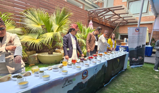 सगरमाथा संवादमा इलामको चिया पदर्शनी